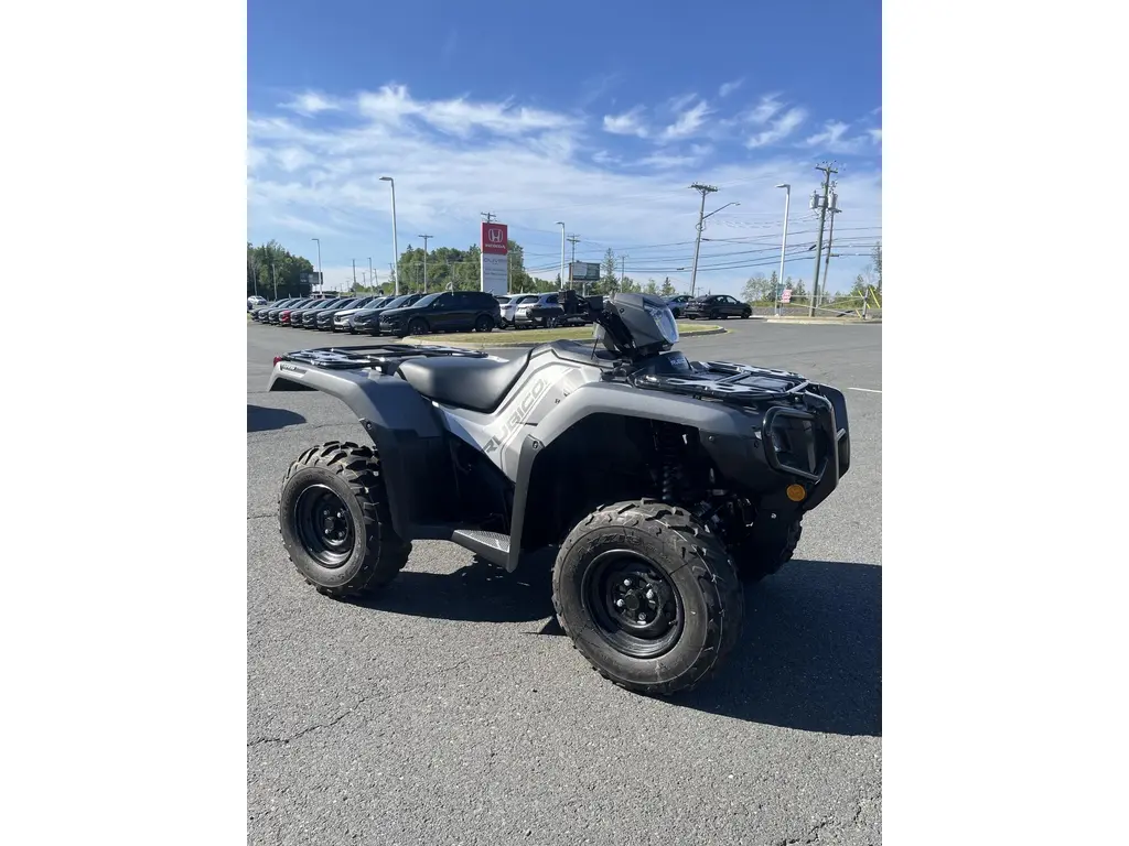 2025 Honda TRX520 Rubicon  IRS EPS