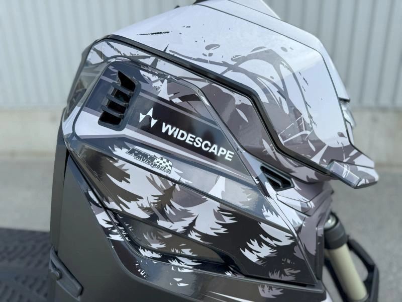 2024 Widescape Ws250 alt