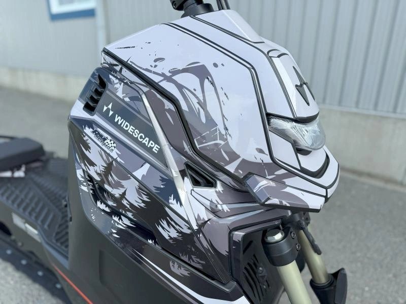 2024 Widescape Ws250 alt