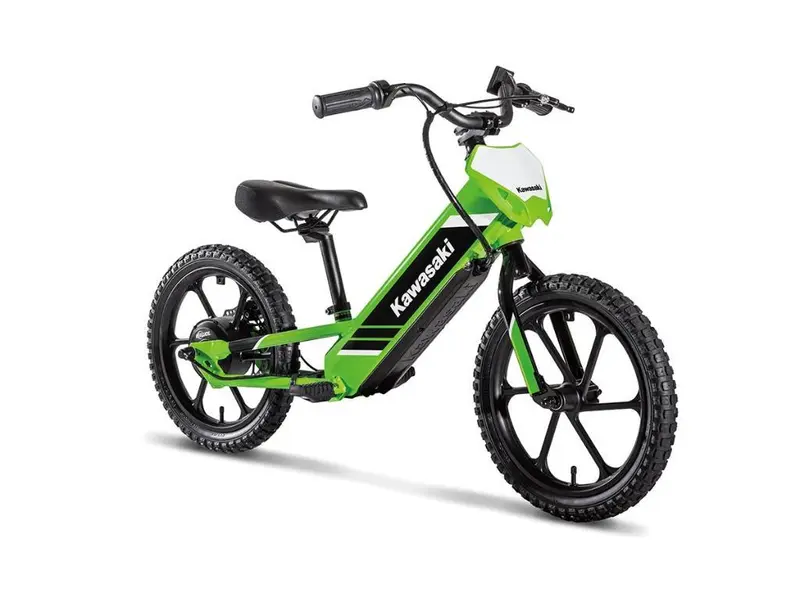 2025 Kawasaki ELEKTRODE 16