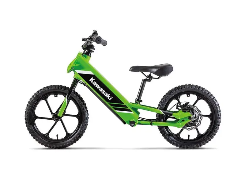 2025 Kawasaki ELEKTRODE 16