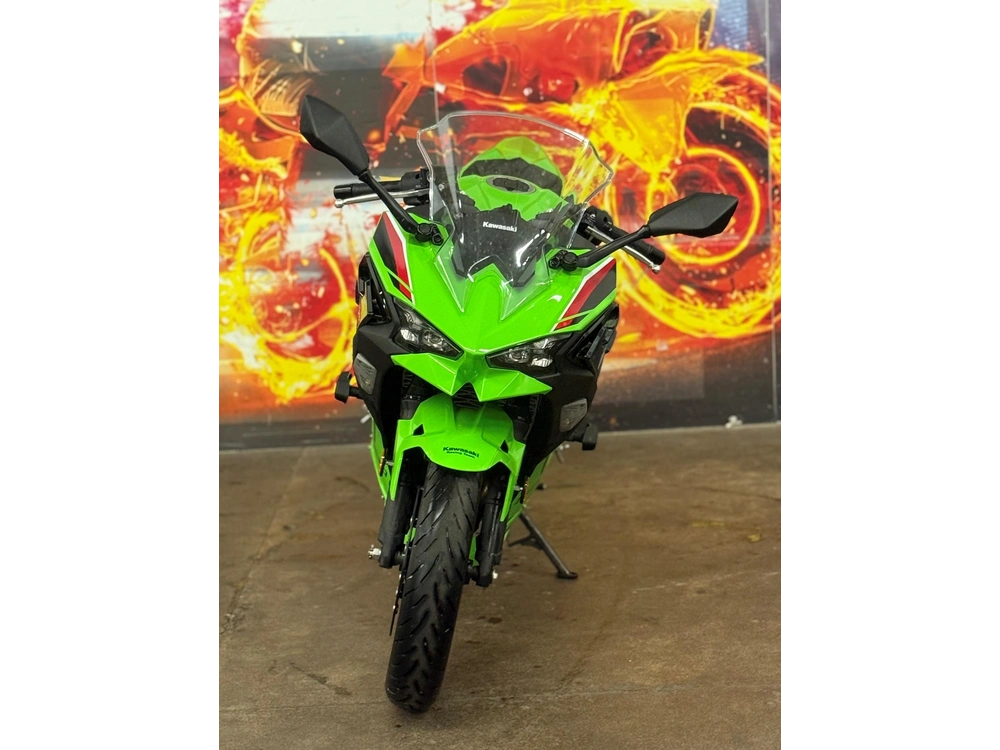 2024 Kawasaki Ninja 500 alt