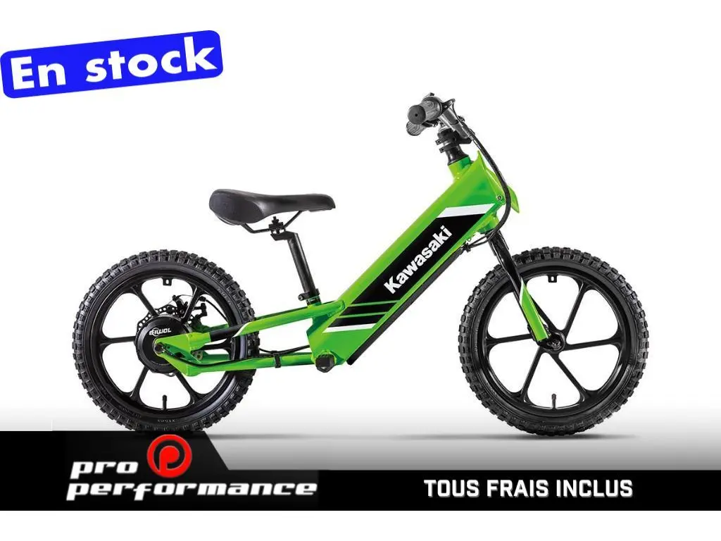 Kawasaki ELEKTRODE 16  2025