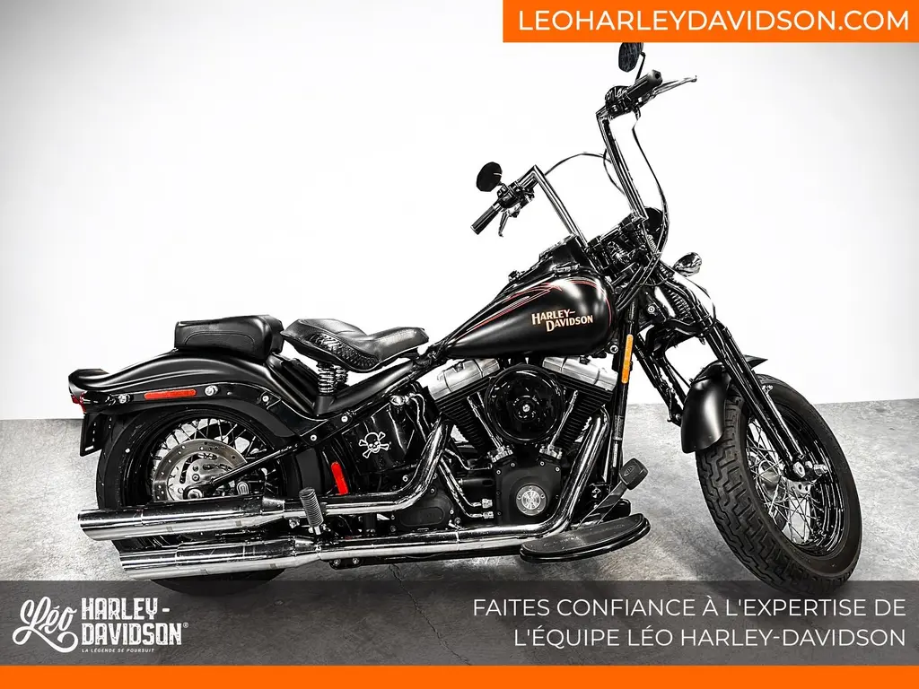 Harley-Davidson FLSTSB 2008 - Cross Bones