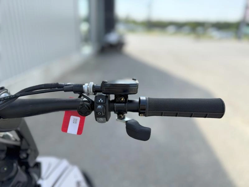 2024 Widescape Ws250 alt