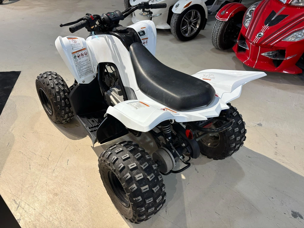 2021 Yamaha Raptor 90 alt