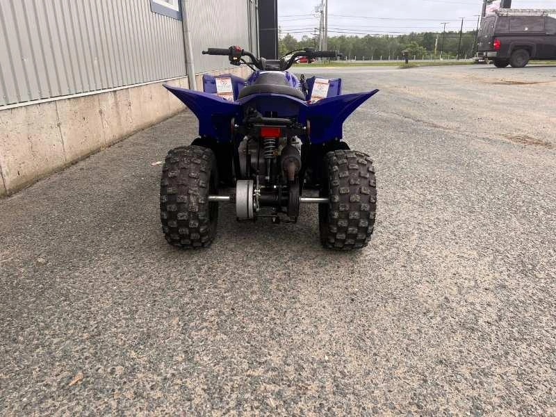 Yamaha Yfz50 2023 alt