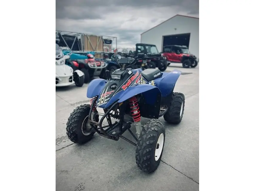 2003 Polaris TRAILBLAZER 250