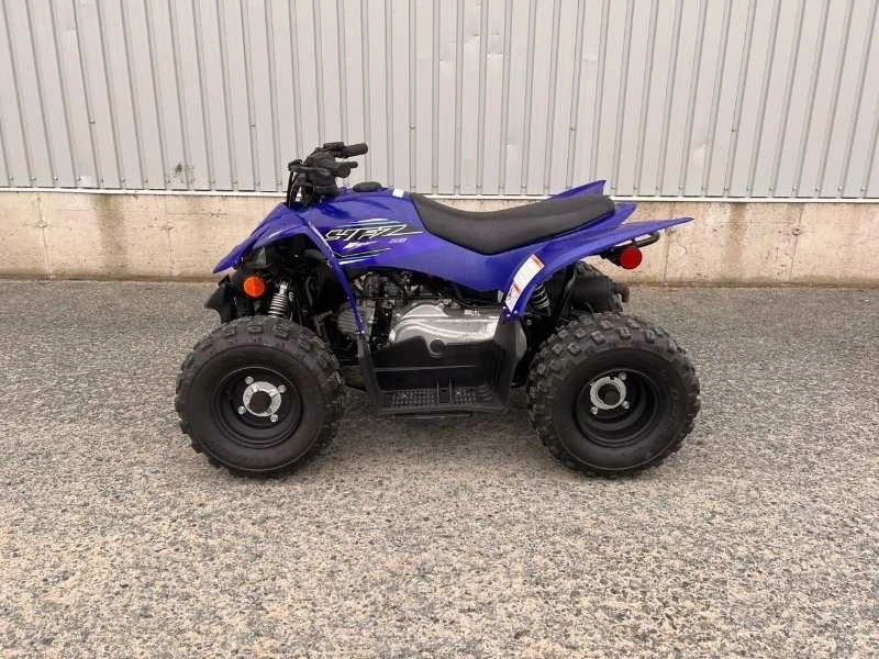 Yamaha Yfz50 2023 alt