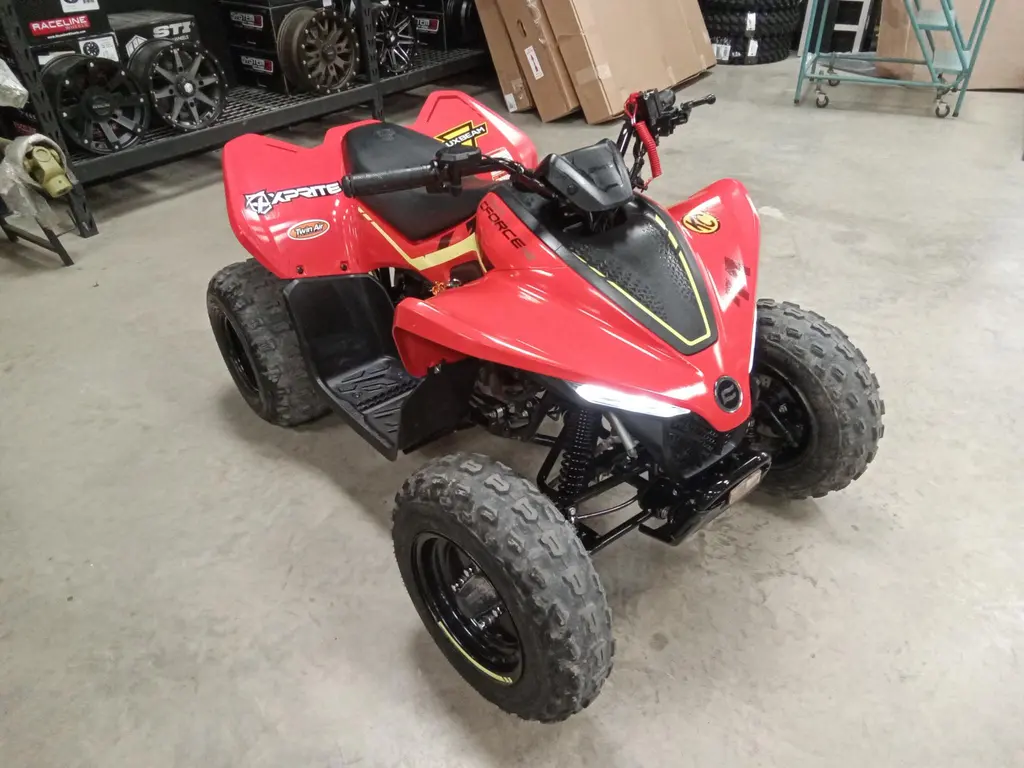 2023 CFMOTO C-FORCE 110