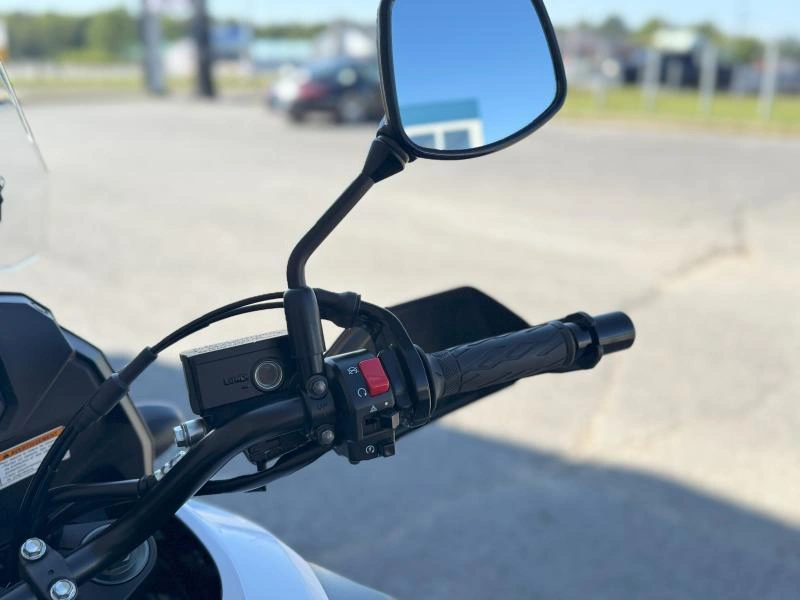 Suzuki V-strom 1000 Dl 2019 alt