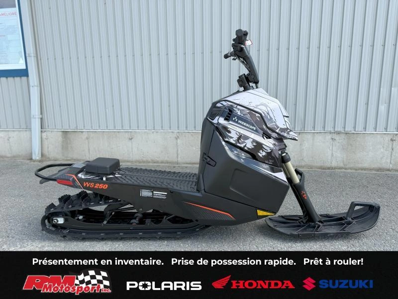 2024 Widescape Ws250 alt