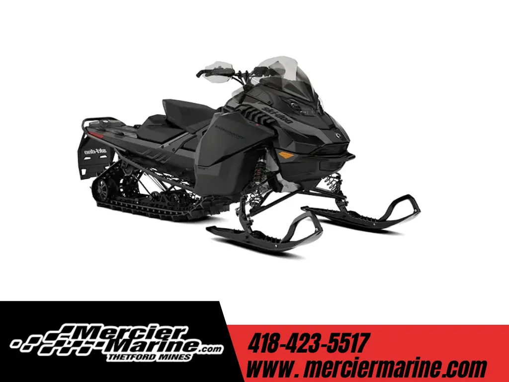 Ski-Doo BACKCOUNTRY ADRENALINE 600R E-TEC 2.0'' 2026