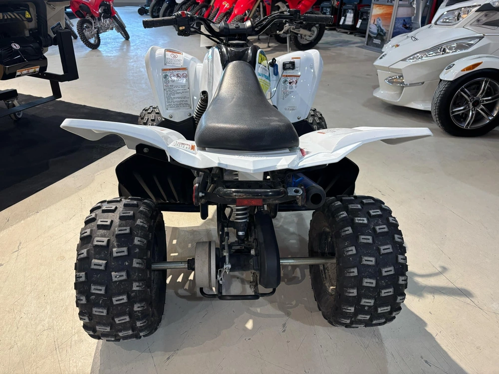2021 Yamaha Raptor 90 alt
