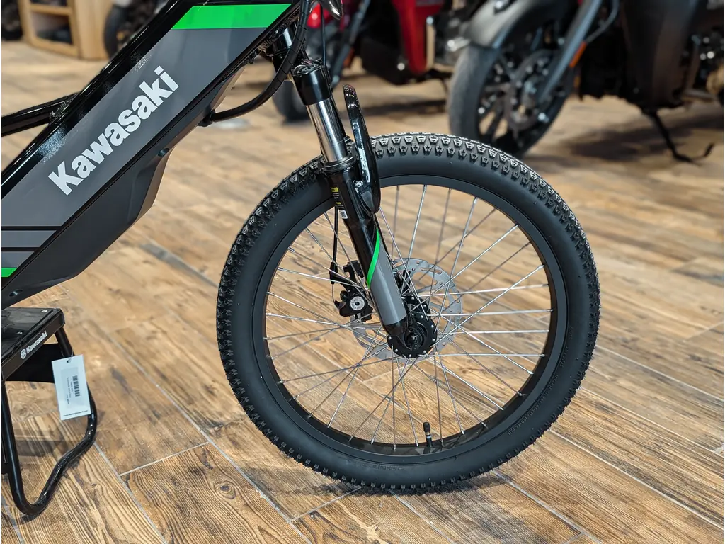 New 2025 Kawasaki Elektrode 20 // Black in Headingley - Headingley Sport  Shop