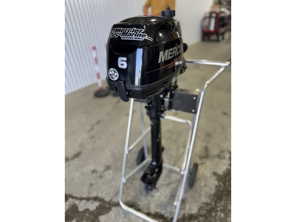 2015 Mercury 6 Mlh alt