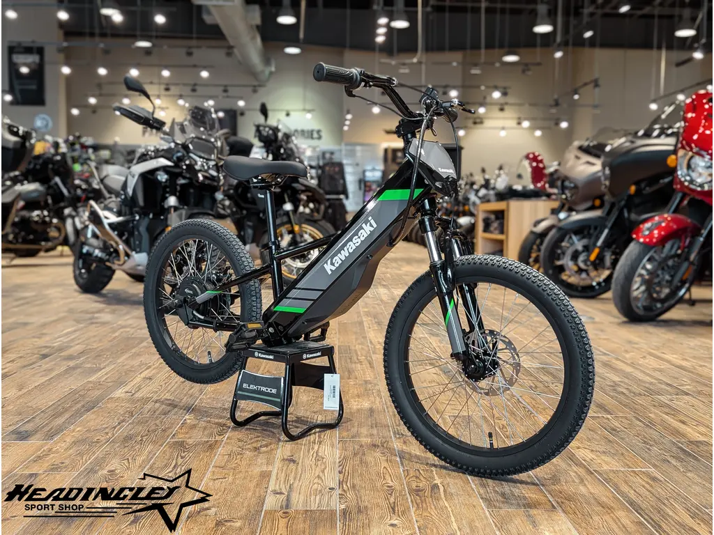 2025 Kawasaki Elektrode 20 // Black 