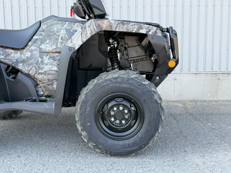 2025 Honda RUBICON DCT IRS EPS