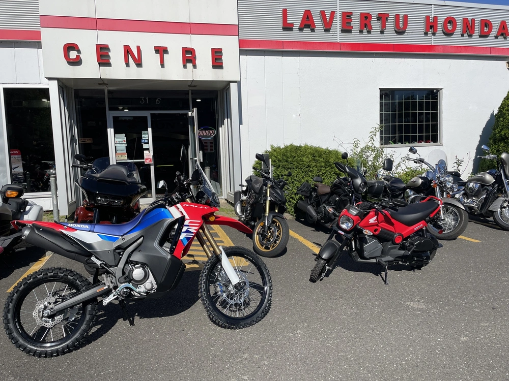 Honda Crf 300 Rally 2025 alt