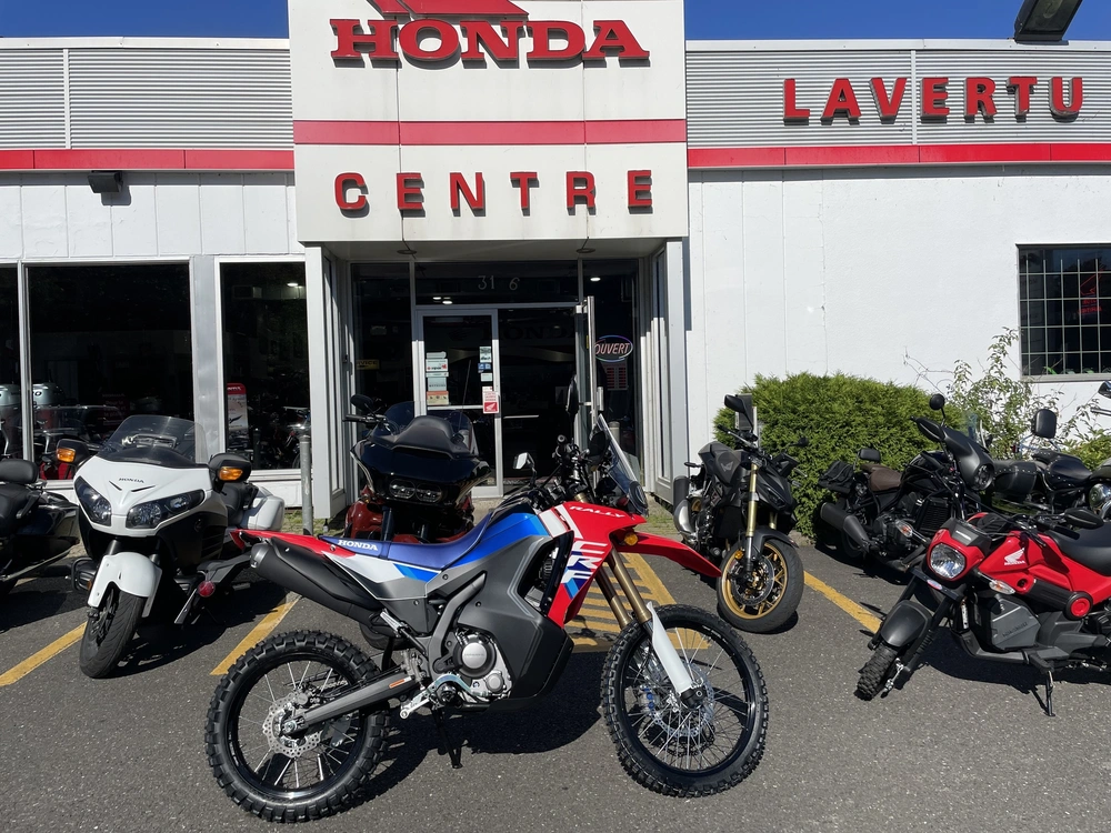 Honda Crf 300 Rally 2025 alt