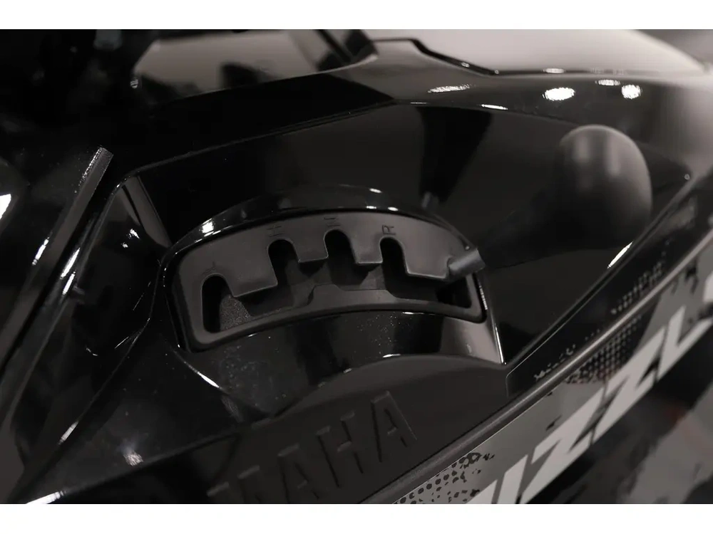2025 Yamaha Grizzly Eps Se alt