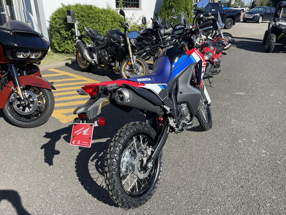 Honda Crf 300 Rally 2025 alt