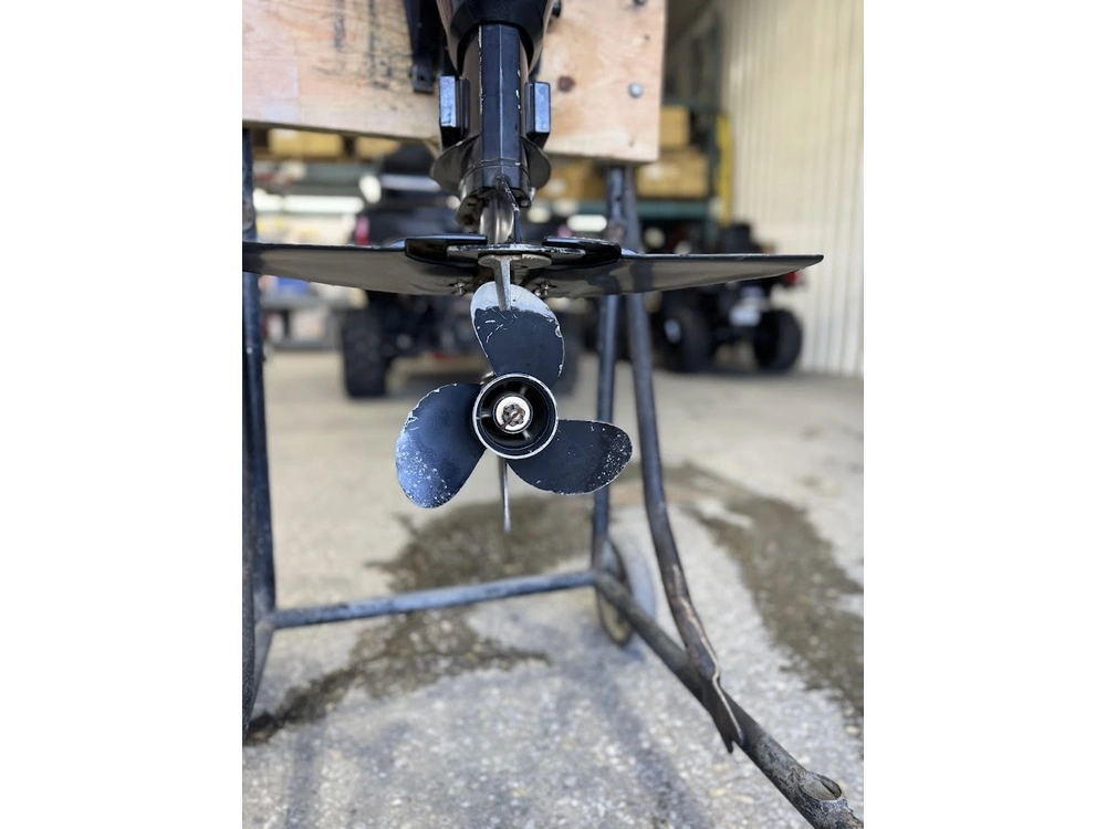 Mercury 9.9mh 2007 alt