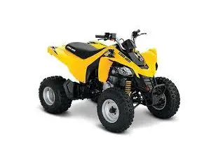 2018 Can-Am DS 250