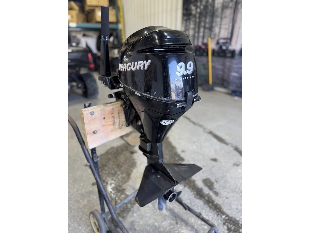 Mercury 9.9mh 2007 alt