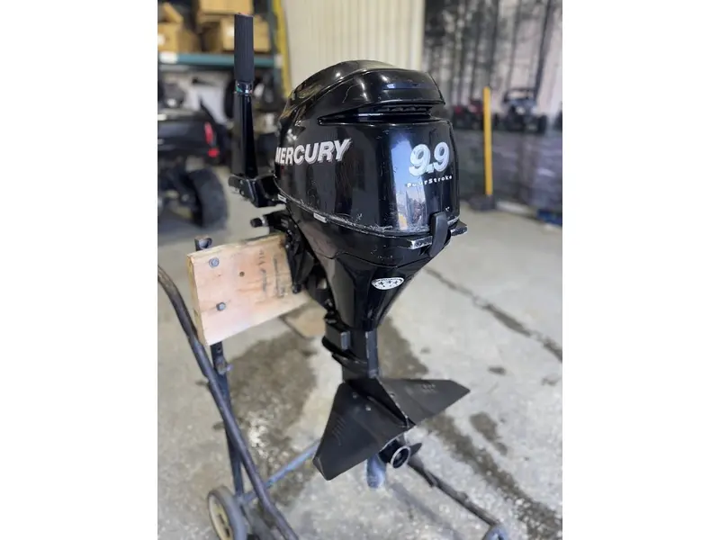 Mercury 9.9MH 2007