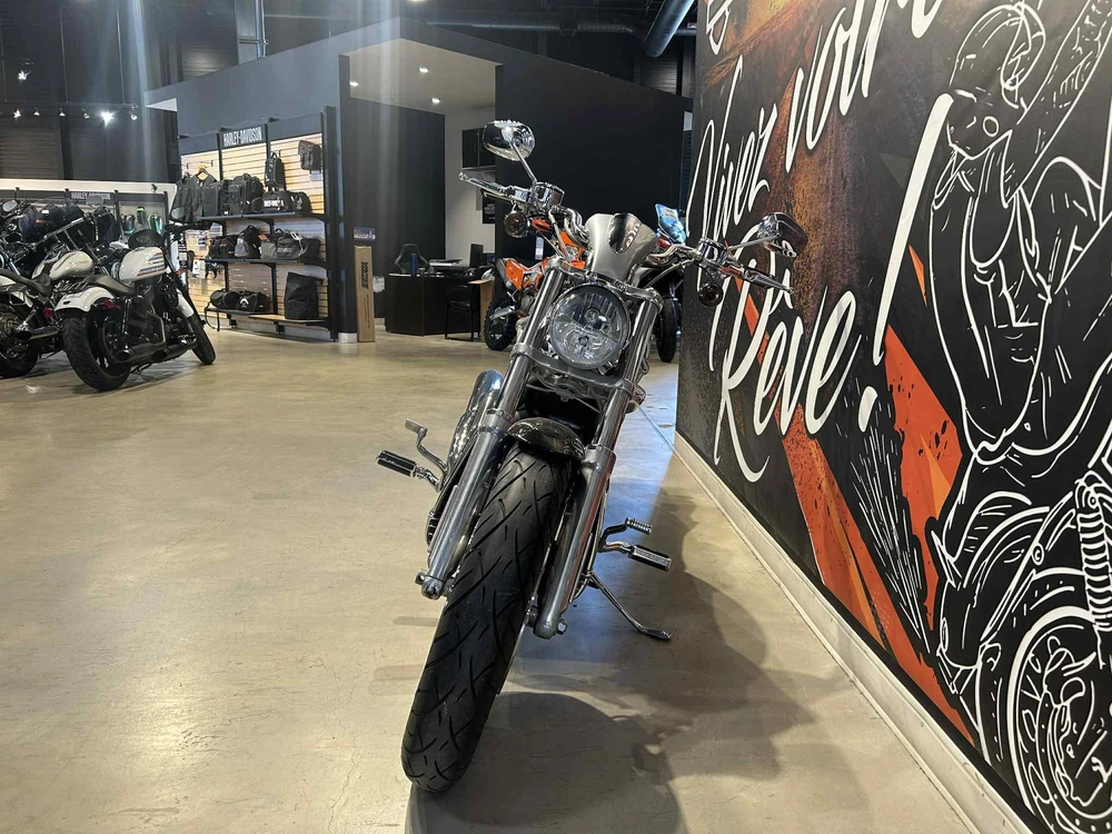 Harley-davidson Vrsca V-rod 2004 alt