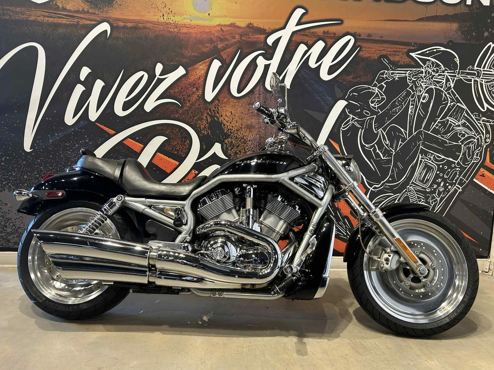 Harley-davidson Vrsca V-rod 2004 alt