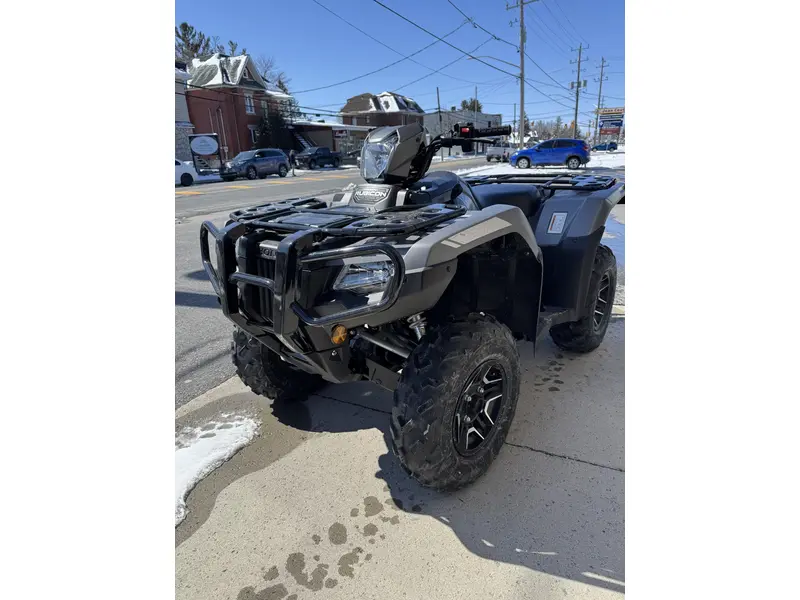 2026 Honda Rubicon 520 DCT Deluxe