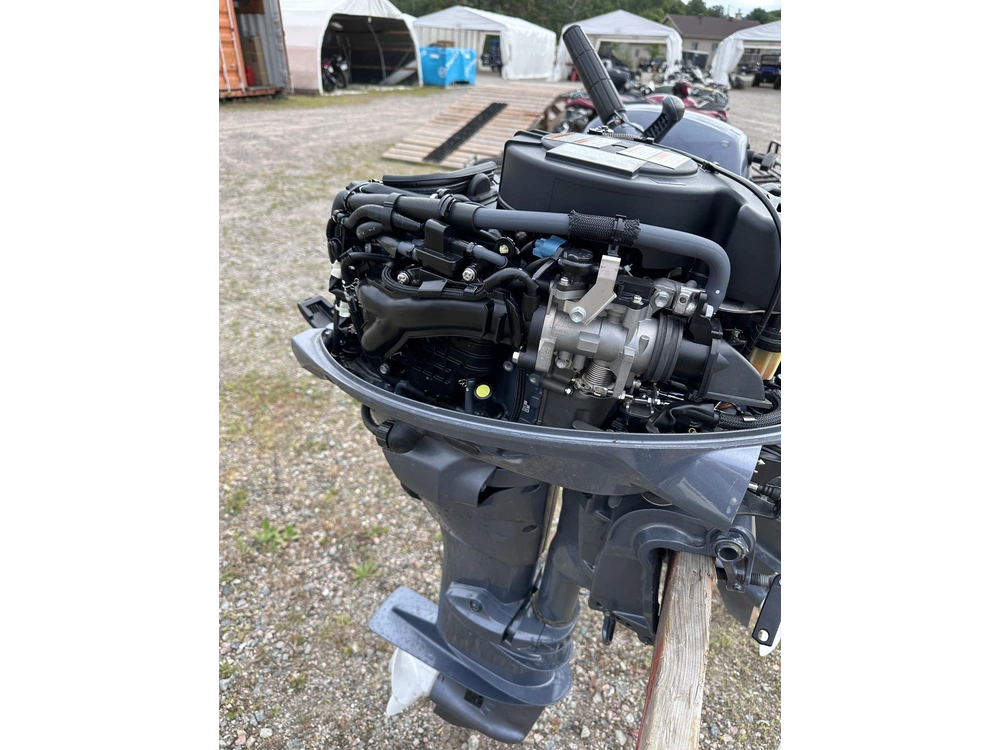 Yamaha F20lmhb 2020 alt