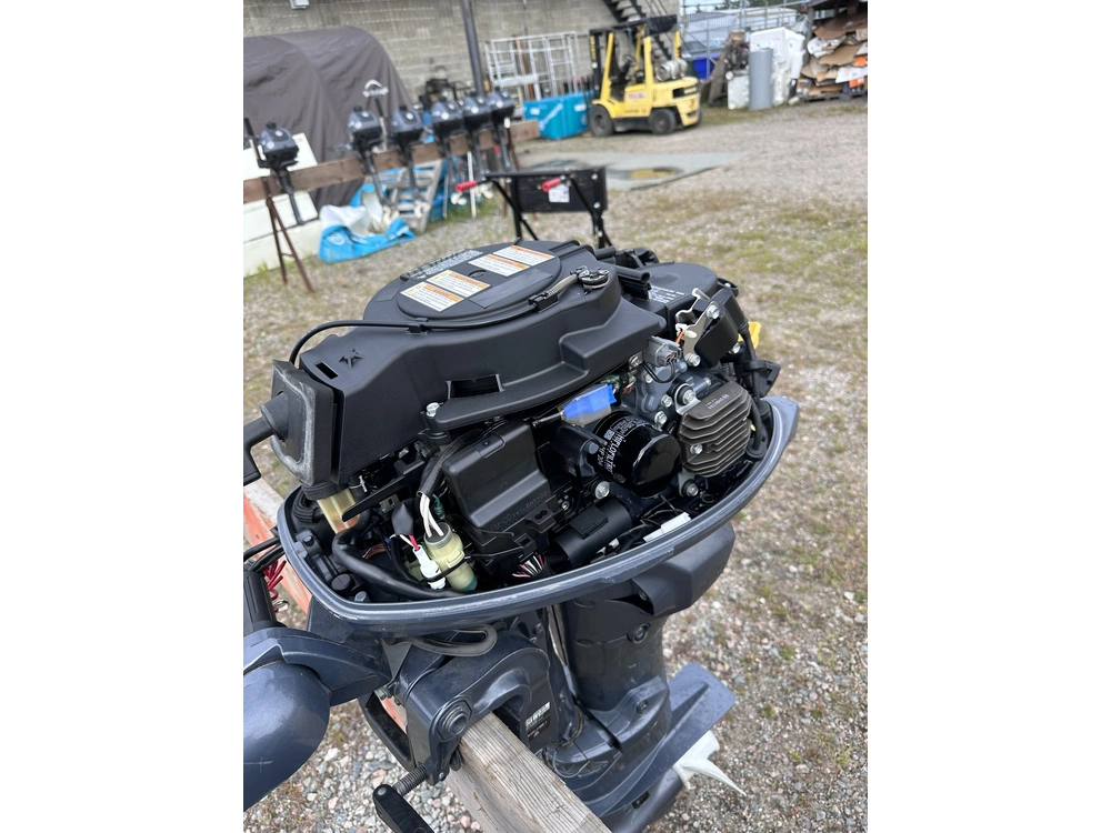 Yamaha F20lmhb 2020 alt