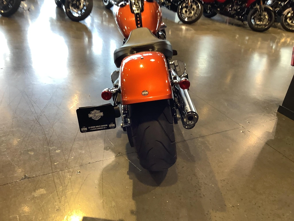 Harley-davidson Fat Boy 114 Flfbs 2019 alt