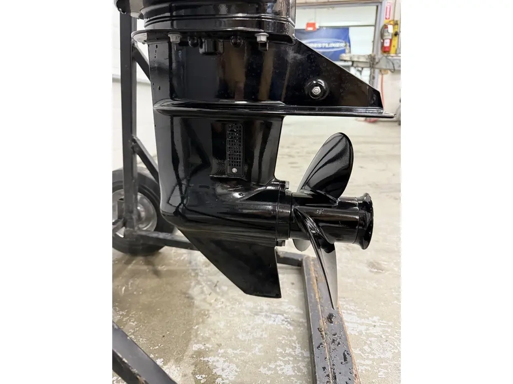 2019 Mercury F15elh alt