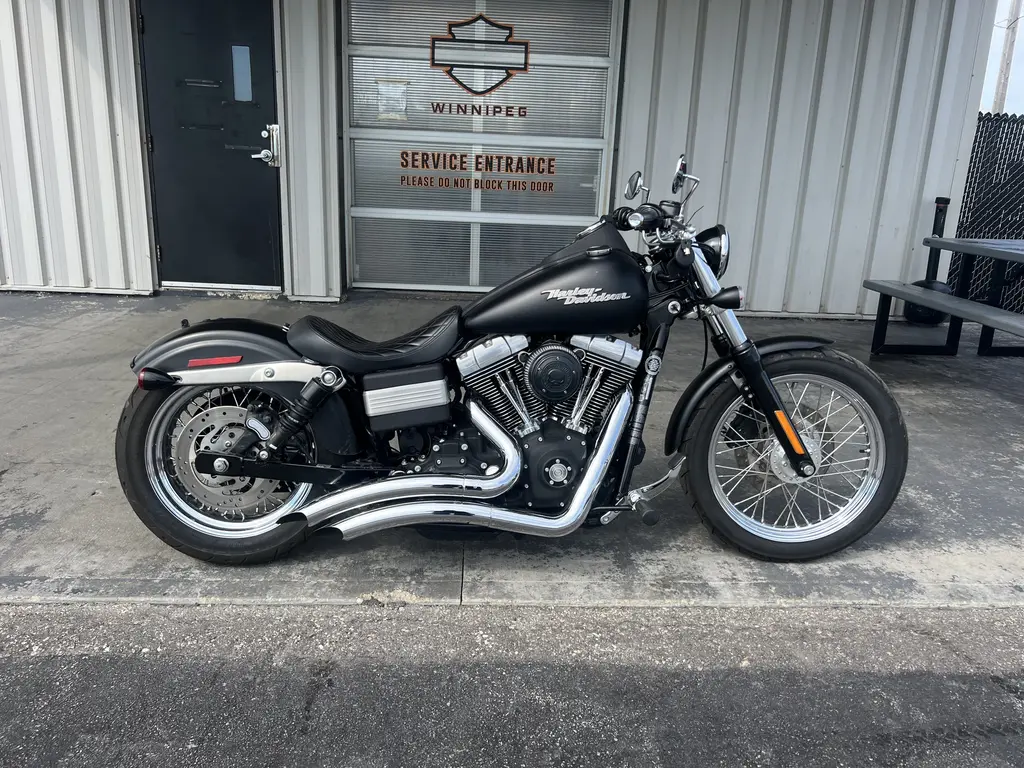 2007 Harley-Davidson FXDB 