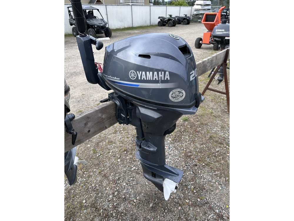 Yamaha F20lmhb 2020 alt