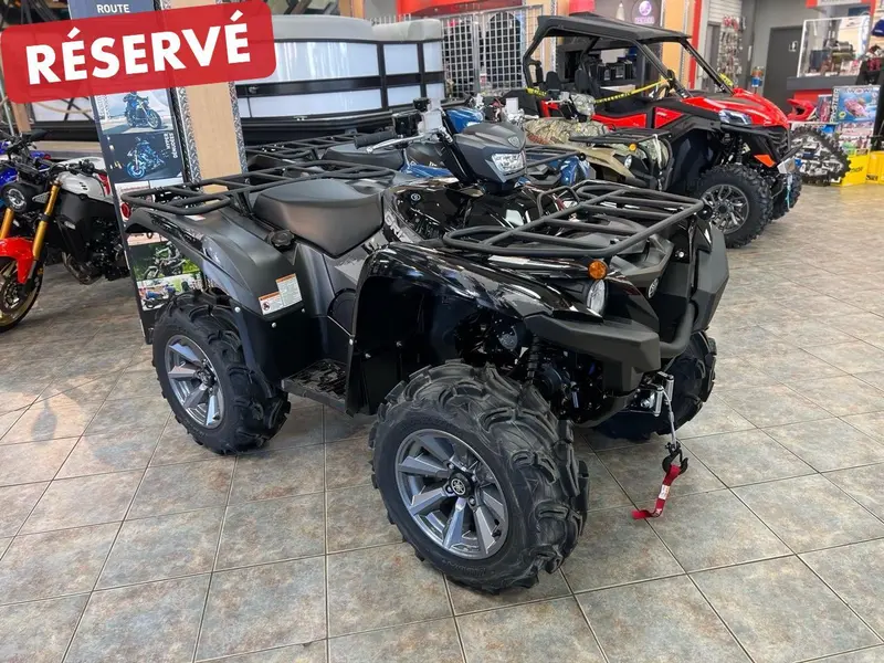 2025 Yamaha Grizzly DAE SE