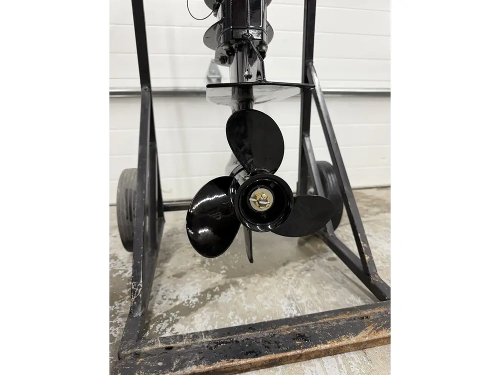 2022 Mercury F15elh alt