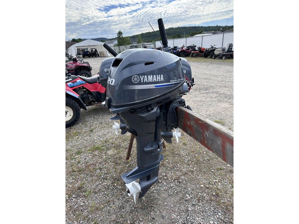 Yamaha F20lmhb 2020 alt