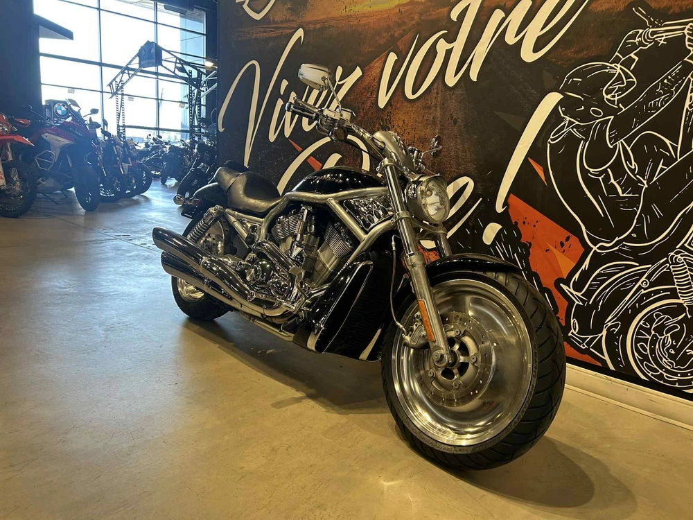 Harley-davidson Vrsca V-rod 2004 alt