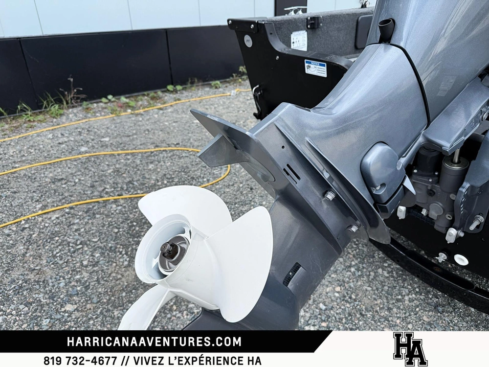 Legend 16 Xte Ws 2019 alt