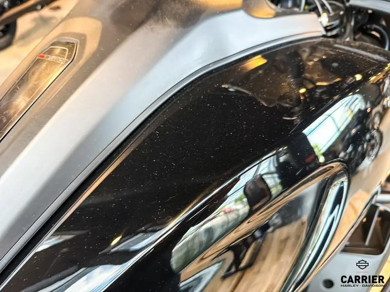 2021 Harley-Davidson Moto Harley-Davidson PAN AMERICA SPECIAL 2021 thumbnail 32