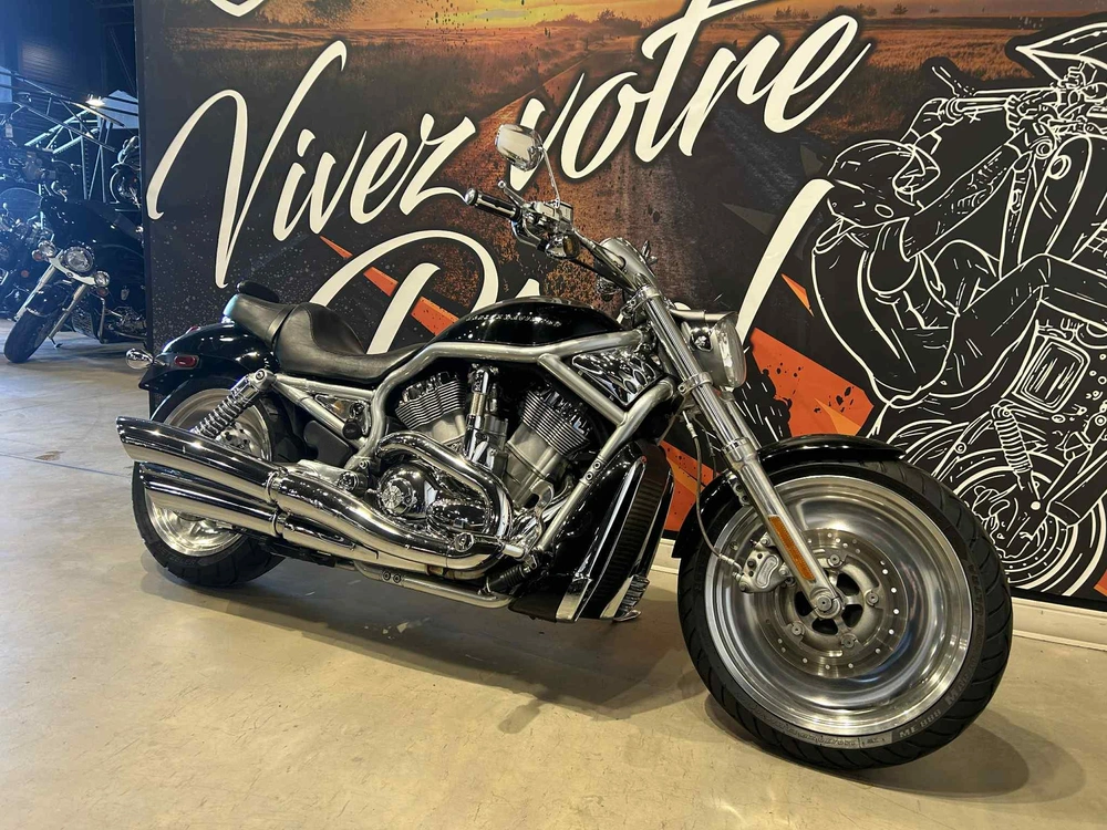 Harley-davidson Vrsca V-rod 2004 alt