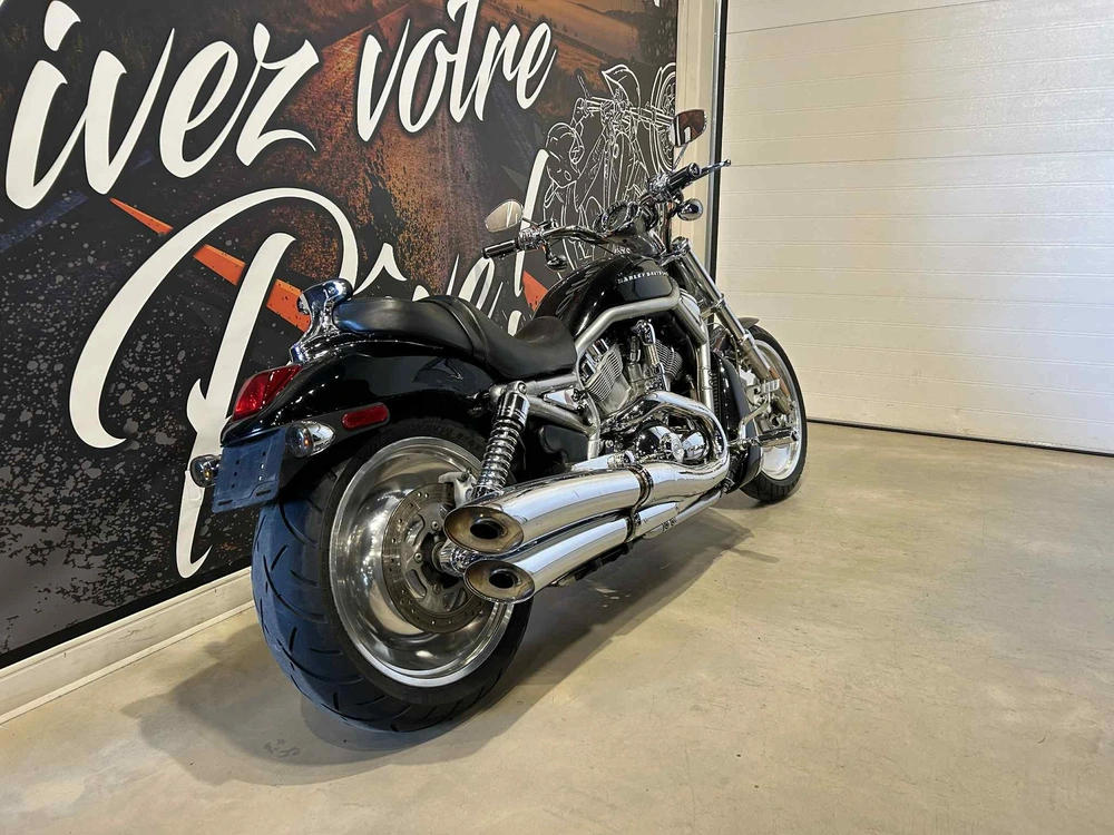 Harley-davidson Vrsca V-rod 2004 alt