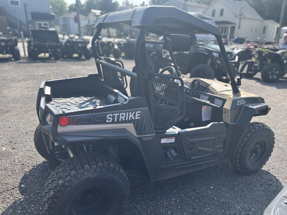 Hisun Strike 250r 2022 alt