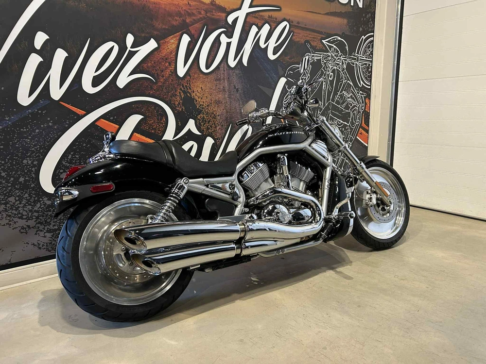 Harley-davidson Vrsca V-rod 2004 alt
