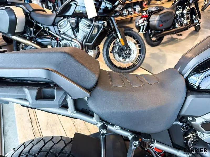 2021 Harley-Davidson Moto Harley-Davidson PAN AMERICA SPECIAL 2021 thumbnail 30